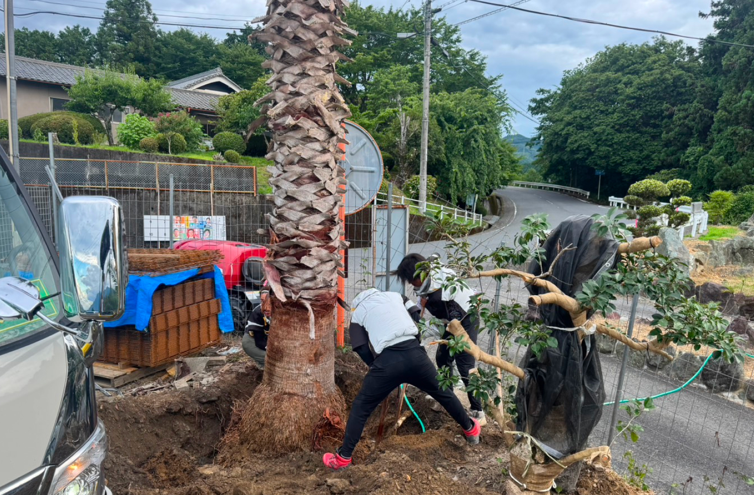 ヤシ専門チームが全面対応